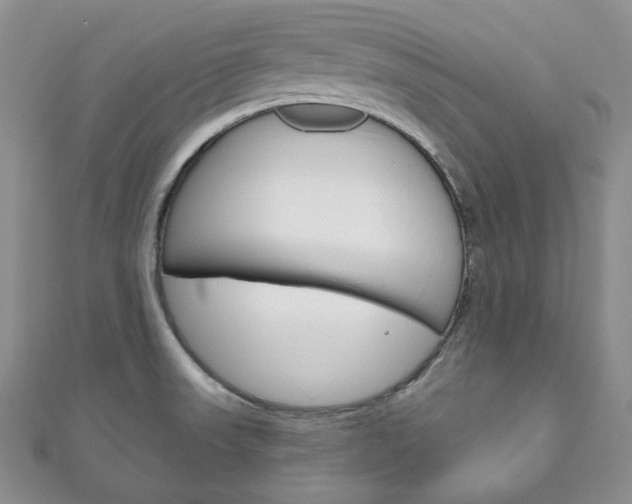X0000111161523200906301048