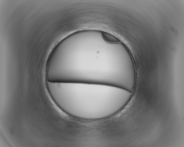 X0000111161525200906301048