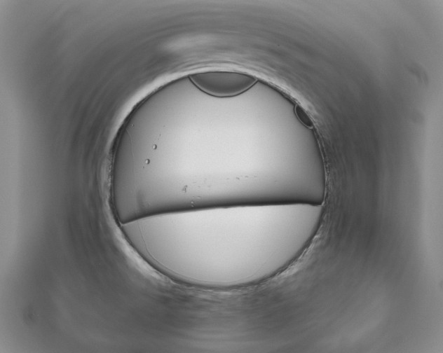 X0000111161526200906301048