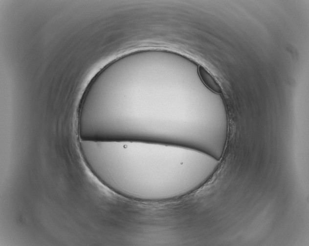 X0000111161527200906301048
