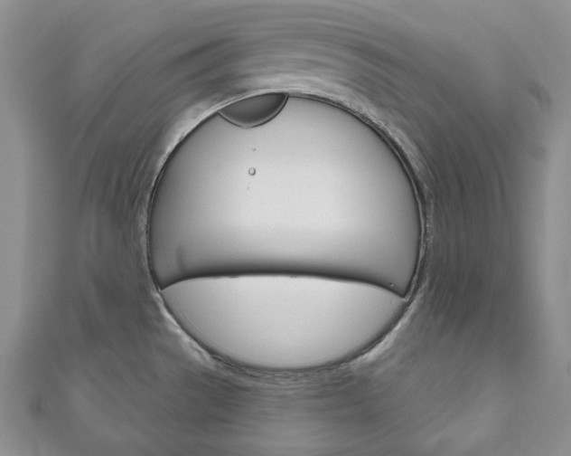 X0000111161529200906301048
