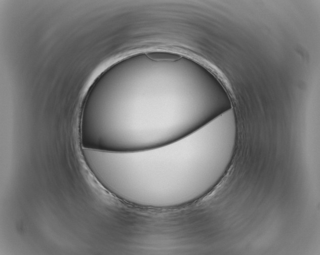 X0000111161530200906301048