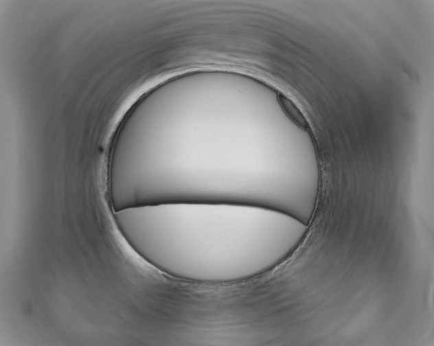 X0000111161531200906301048