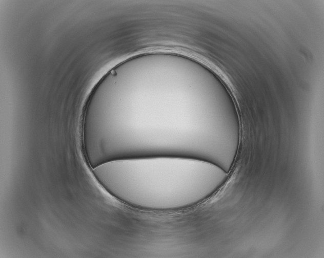 X0000111161533200906301048