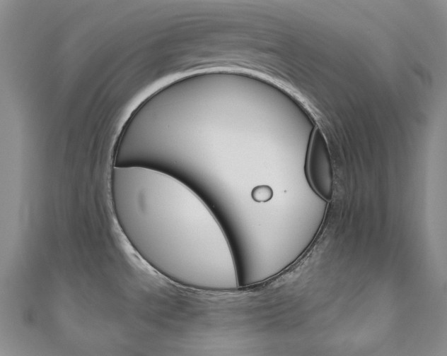 X0000111161534200906301048