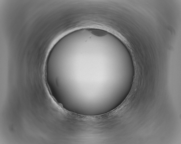 X0000111161536200906301048