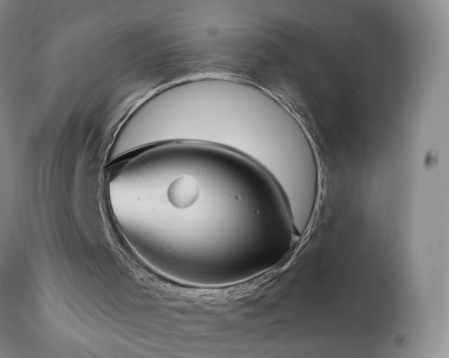 X0000111160001200906301411
