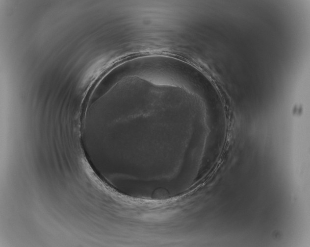X0000111160002200906301411