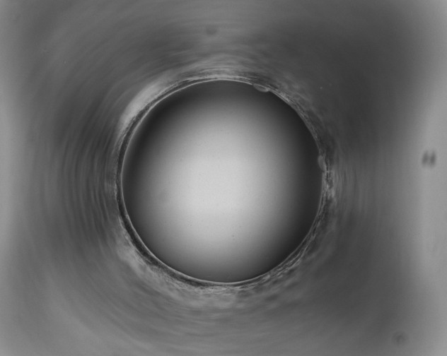 X0000111160004200906301411