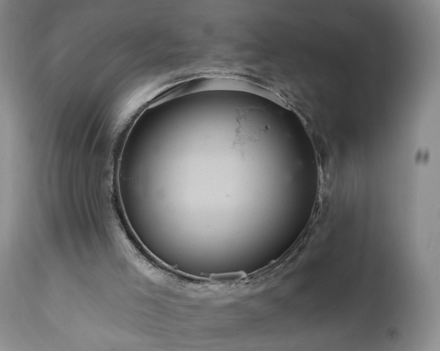 X0000111160005200906301411