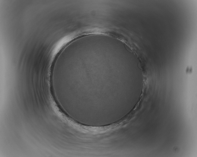 X0000111160006200906301411