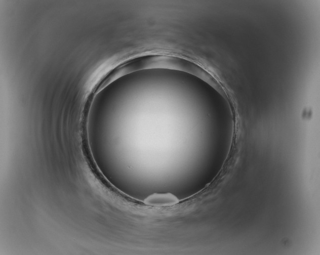 X0000111160007200906301411