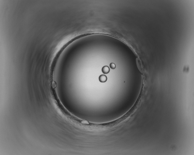 X0000111160008200906301411