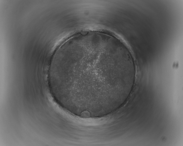 X0000111160010200906301411