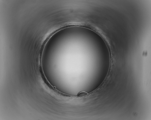 X0000111160011200906301411