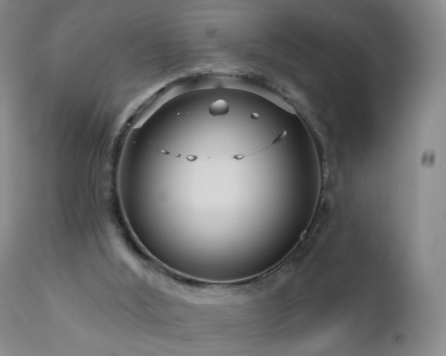 X0000111160012200906301411