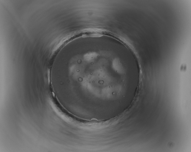 X0000111160013200906301411