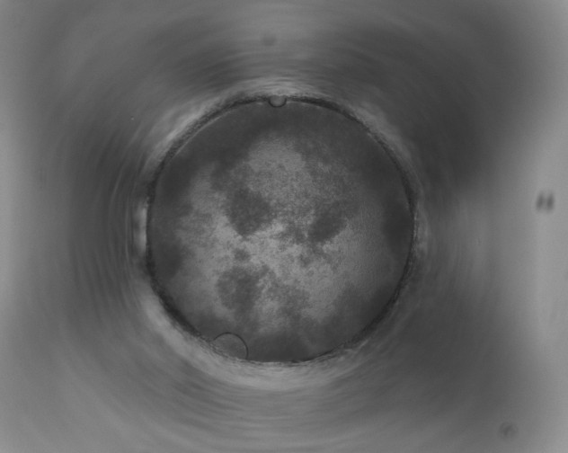 X0000111160014200906301411