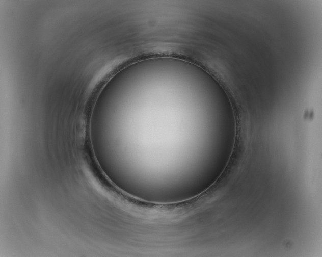 X0000111160016200906301411