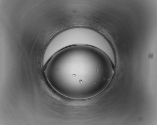 X0000111160017200906301411
