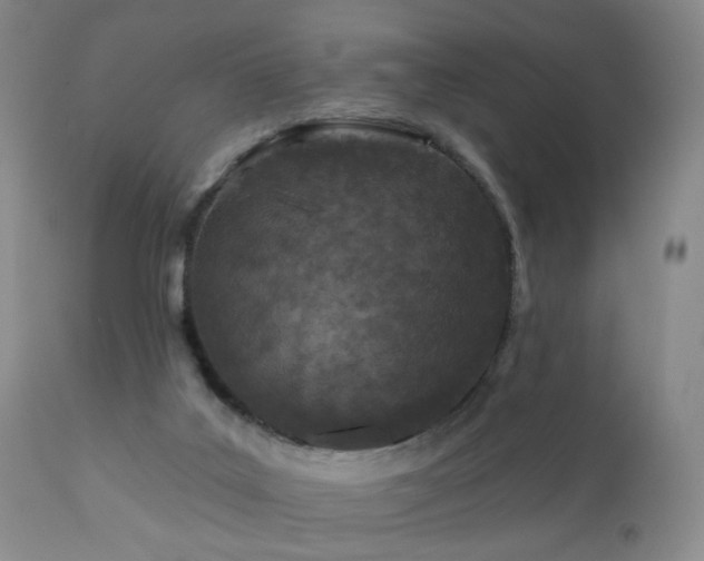 X0000111160019200906301411