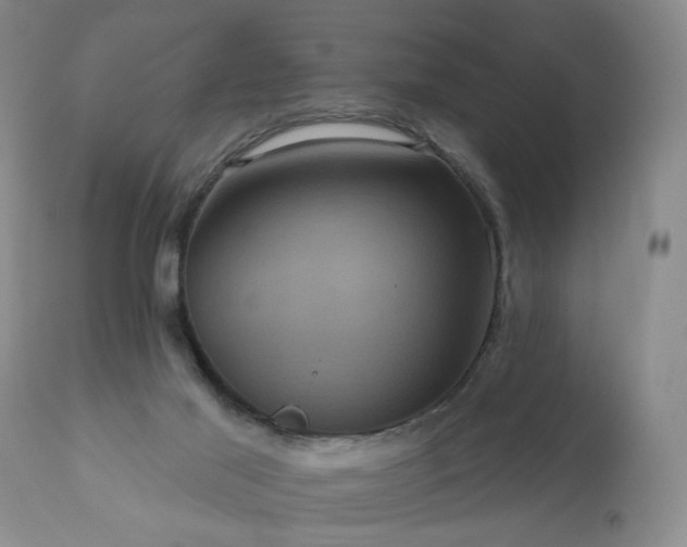 X0000111160021200906301411