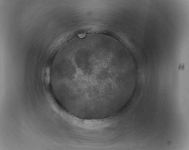 X0000111160022200906301411