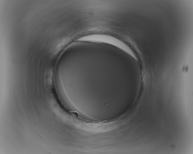 X0000111160023200906301411