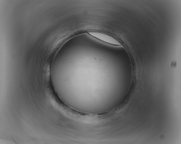 X0000111160024200906301411