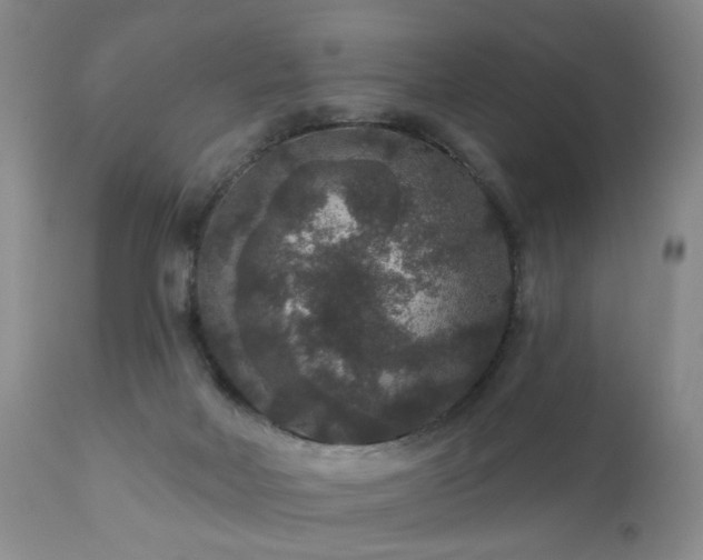 X0000111160026200906301411