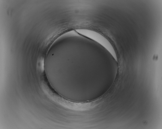 X0000111160027200906301411
