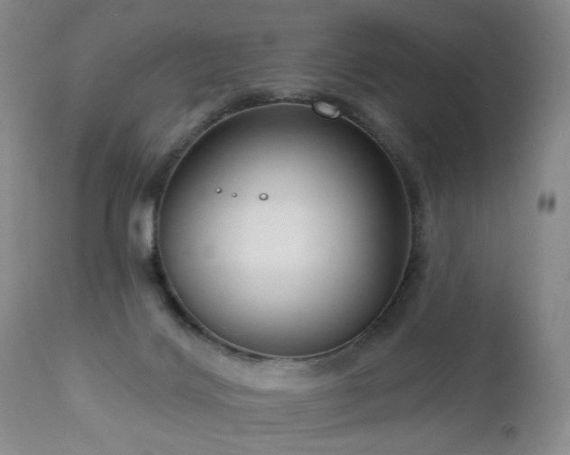 X0000111160028200906301411
