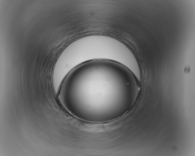 X0000111160029200906301411