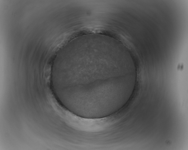X0000111160030200906301411