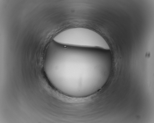 X0000111160031200906301411