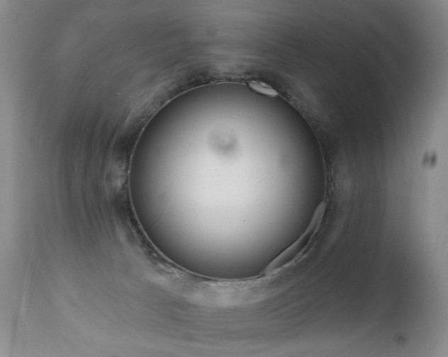 X0000111160033200906301411