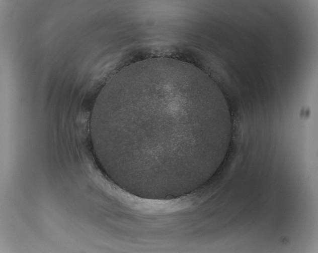 X0000111160034200906301411