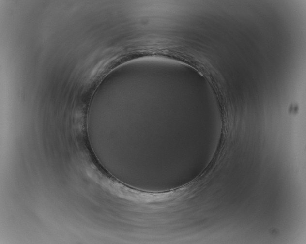 X0000111160035200906301411