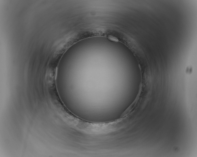 X0000111160037200906301411