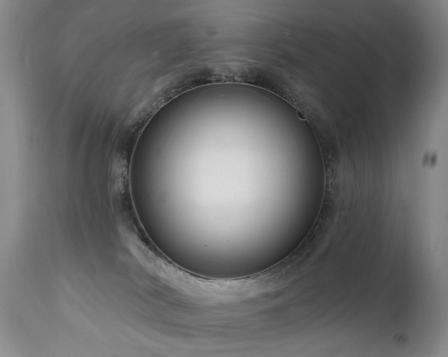 X0000111160038200906301411