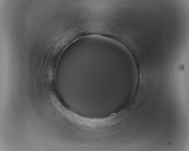 X0000111160039200906301411