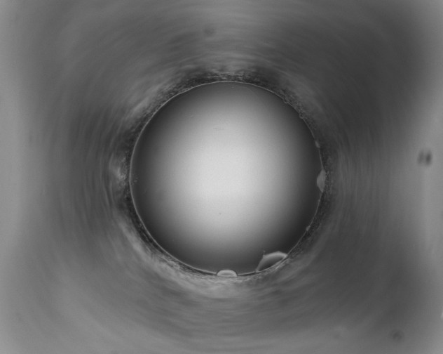 X0000111160040200906301411