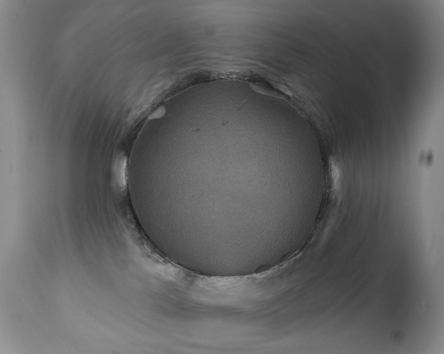 X0000111160041200906301411