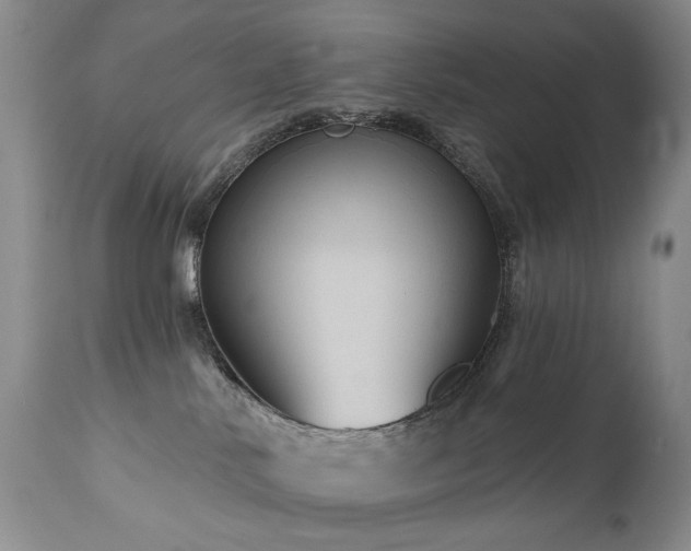 X0000111160042200906301411