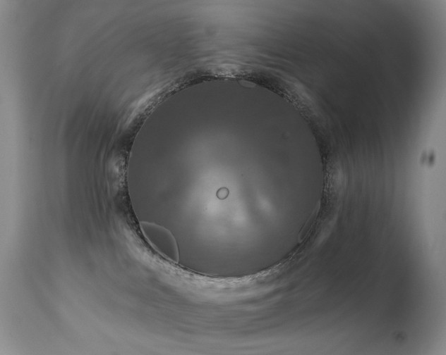 X0000111160043200906301411