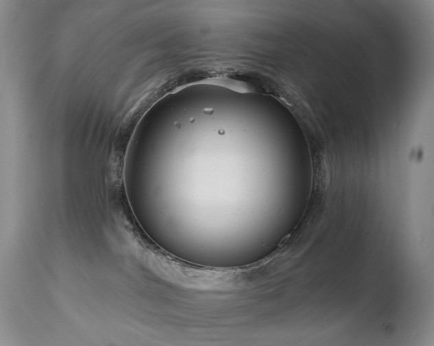 X0000111160044200906301411