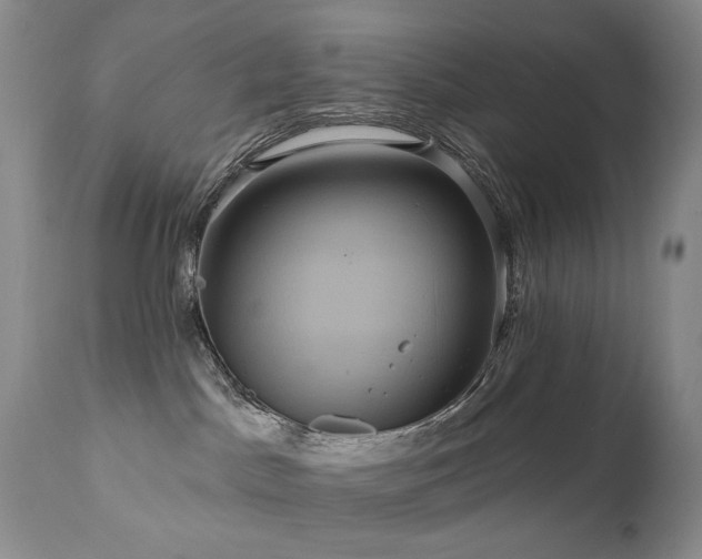 X0000111160045200906301411