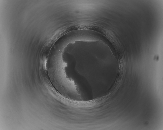 X0000111160046200906301411