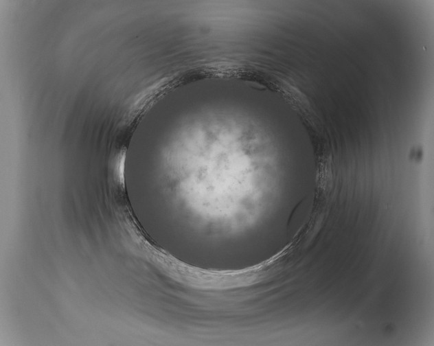X0000111160047200906301411