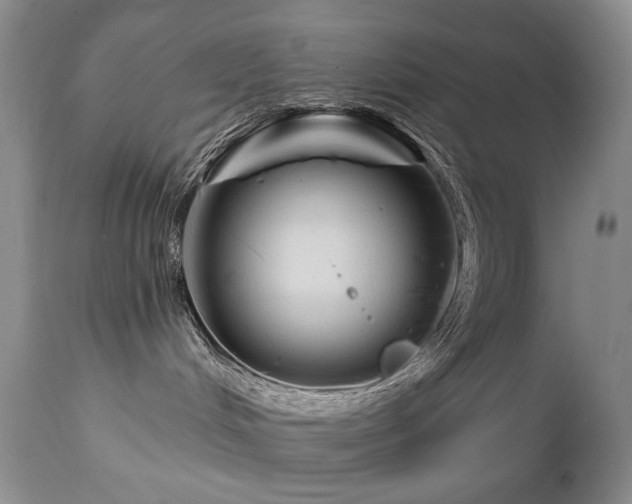 X0000111160048200906301411